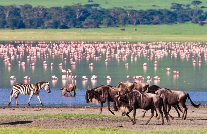Foto de Tanzania