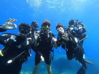 Diving Calvi