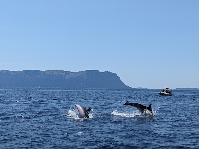 DST Sardegna - Diving & Snorkeling Team
