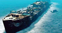 Millennium Divers Sharm