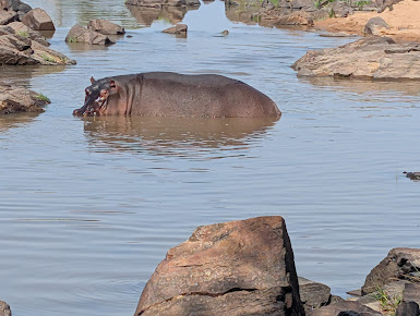 Great Ruaha Marathon (GRUMA)