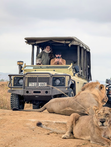 CLIMATICAL SAFARI ADVENTURE