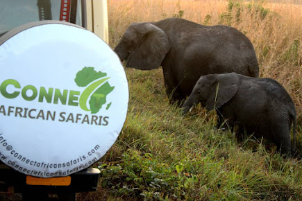 Connect African Safaris