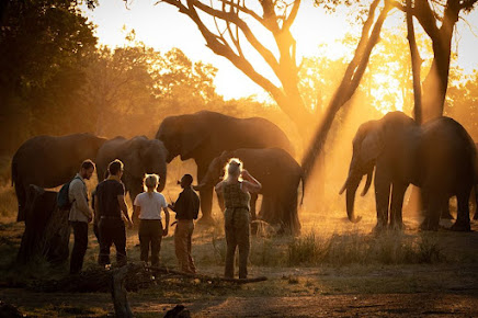 Alwa Africa