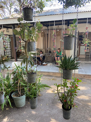 Tribal Roots Spa