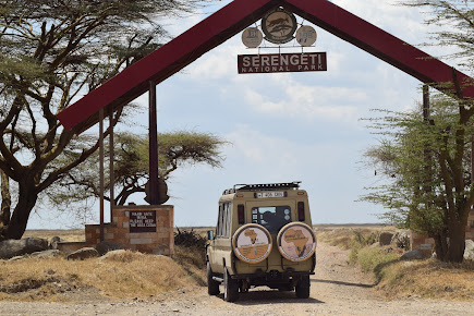 BURIGI CHATO SAFARIS CO LTD - Tanzania Serengeti Safaris | Kilimanjaro Climbing (Hiking) & Zanzibar Tour Operators