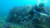 Pura Vida Diving Koh Lipe Dive Center