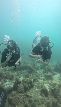 Pura Vida Diving Koh Lipe Dive Center