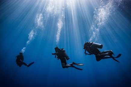 OCEAN WORLD EXPEDITIONS