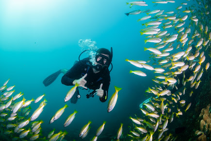 Flip Flop Divers