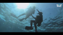 Blue View Divers: Scuba Diving Phi Phi