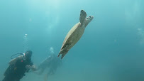 DPM Diving Koh Phi Phi