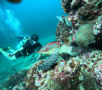 DPM Diving Koh Phi Phi
