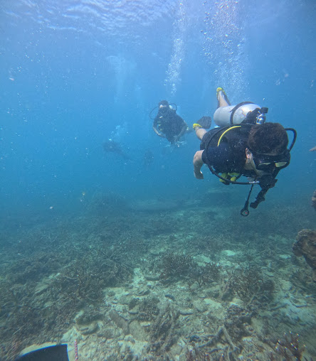 Nitro Dive Center - Koh Tao