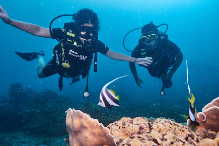 Pura Vida Diving