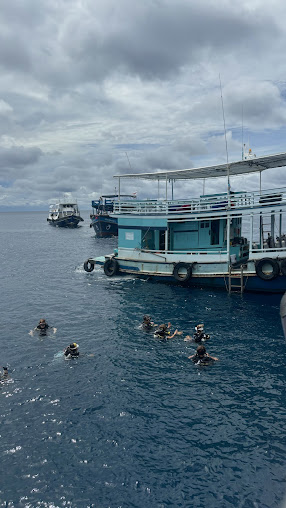 Big Blue Diving School Koh Tao