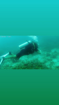 Scuba Shack, Koh Tao PADI dive center
