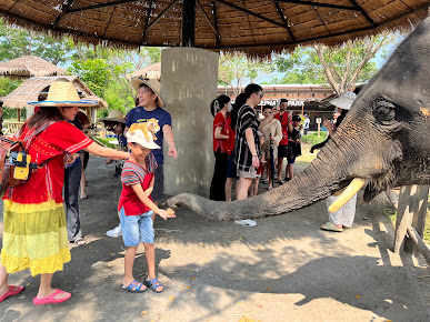 Bangkok Elephant Park