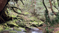 Yakushima National Park