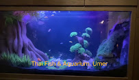AQUARIUM ..HAFIZ 3d background AQUARIUM AND FISH STOR