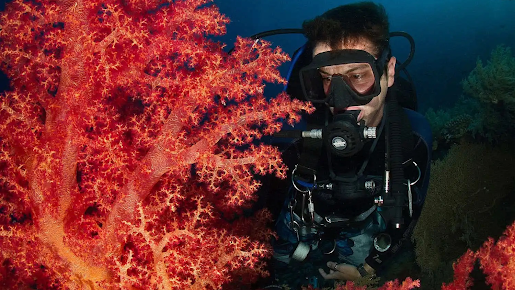 NEXTGEN Diving Travel