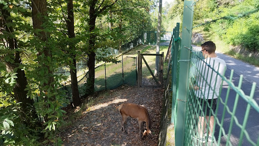 Centro recupero animali selvatici