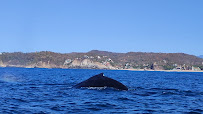 TOURS MAZUNTE OCÉANO MAGICO
