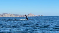 CaboTrek