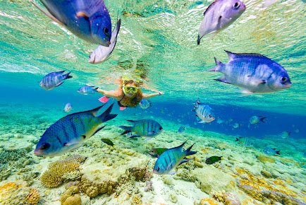 Punto de los Nidos, Snorkeling area