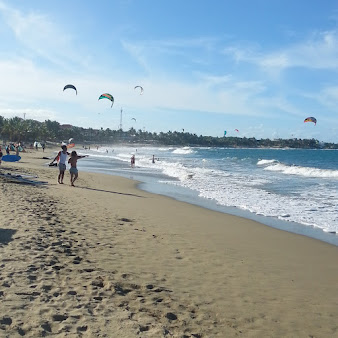 Surfea surf shop