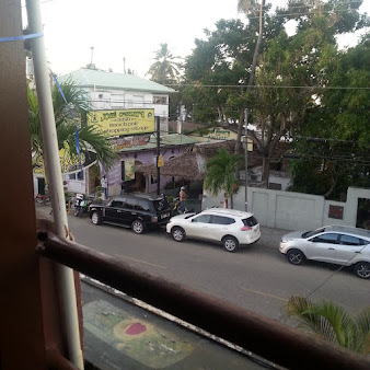 Surfea surf shop