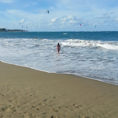 Surfea surf shop