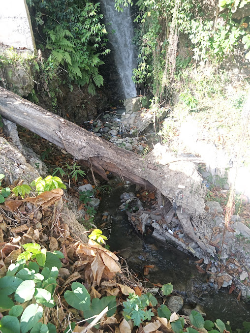 Cascada de los pepines
