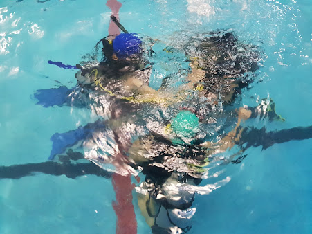 Escuela de Buceo - Sea Divers - Olivos