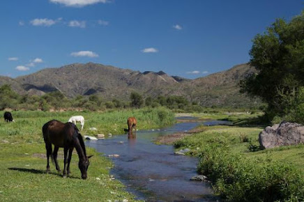 Reserva de uso múltiple Valle Fértil