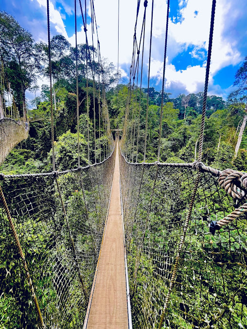 Parque nacional de Kakum